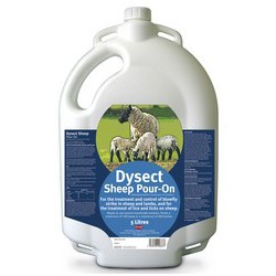Dysect Pour-On Sheep