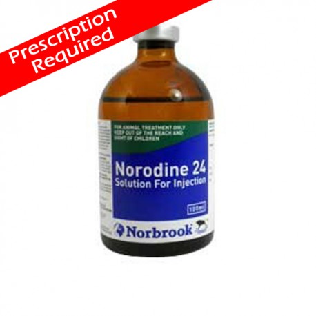 Norodine 24 Injection 100ml