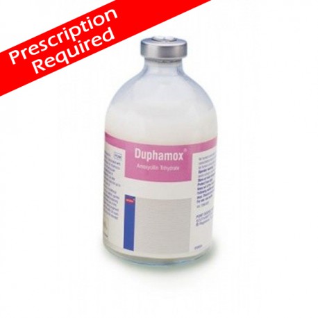 Duphamox 100ml (out of stock)