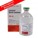 Lincocin sterile solution 100ml