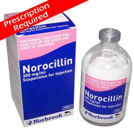 Norocillin 100ml