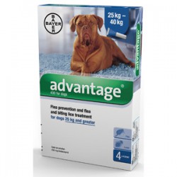Advantage 400 Dogs 1x4