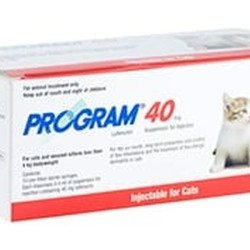 Program 40 Cat Injection